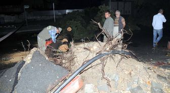 Tarsus'ta Fırtına Ağaçları Kökünden Söktü