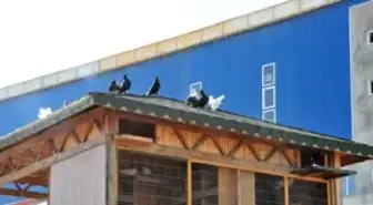 Hayvan Bakım ve Rehabilitasyon Merkezi