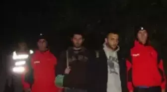 Kestane Toplarken Kayboldular