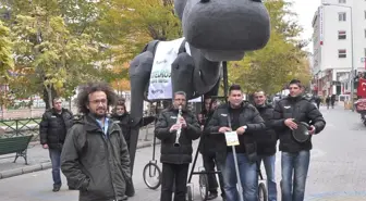'anadolu Eşeği', Eskişehir'e Geldi