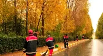 Beylikdüzü'nde Sonbahar Güzelliği