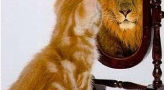 Bir Psikolojik Rahatsızlık: Narsisizm