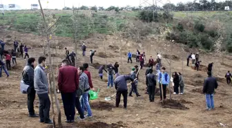 Basın Şehitleri Sebahattin ve Cem'in Adı Hatıra Ormanında Yaşayacak