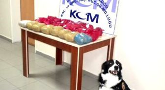 Düzce'de 22 Kilo Esrar Ele Geçirildi