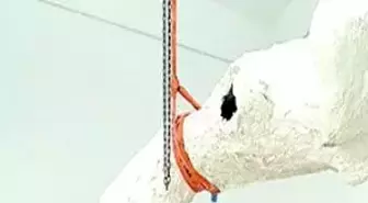 Akbank'ta Kasım Ayı
