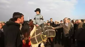 Rahvan Atlar Bin Yıllık Gelenek İçin Koştu