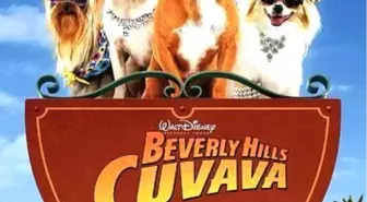 Beverly Hills Çuvava Filmi