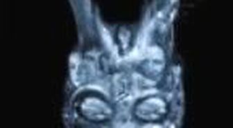 Donnie Darko Filmi