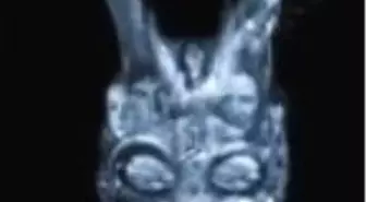 Donnie Darko Filmi