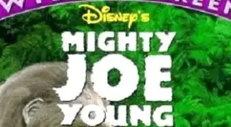 Koca Bebek Joe Filmi