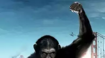 Maymunlar Cehennemi: Başlangıç Filmi