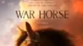 Savaş Atı Filmi