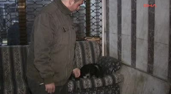 Köpeğin Annelik Duygusu