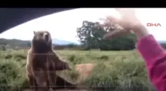 Hayvanlardan İki Sevimli Görüntü