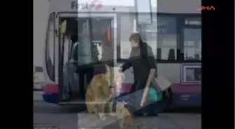 Bu Kedi Her Gün Aynı Duraktan Belediye Otobüsüne Binip Gezdikten Sonra Eve Dönüyor İngiltere'nin Dorset Kentinde İsmi Gibi Bir Hayat Süren 'kaçak' Adlı Kedi Her Sabah Yaşadığı Evin Önündeki Otobüs Durağından Belediye Otobüsüne Binip 15 Kilometrelik Hatta Bir Tur Attıktan Sonra Evine Dönüyor. Daily M