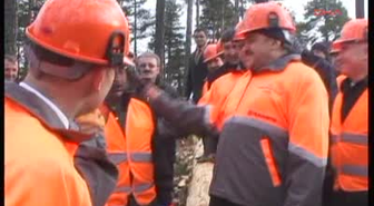 Tohum Atıp, Fidan Dikti