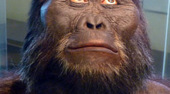 Ukrayna'da Neandertallere Ait Ev Bulundu