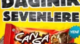 Dev Goril İlk Kez Türkiye'de