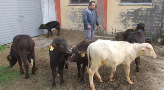 Siyah Mandalar Beyaz Manda 'nazlı'yı Dışladı