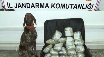 Narkotik Köpeği, Valizdeki 20 Kilo Esrarı Buldu