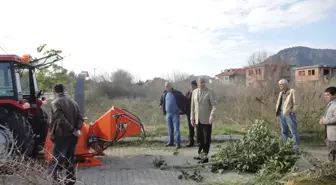 Dalyan'da Dal Budak Gübre Oluyor