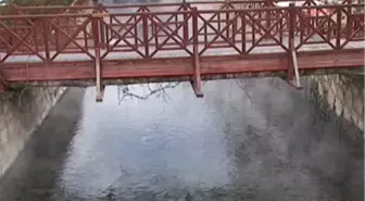 Sivas1doktor Balıkların Pedikürcü Olarak Kullanımına Tepki