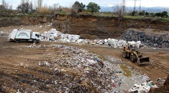 4 Ton Özürlü İncir İmha Edildi