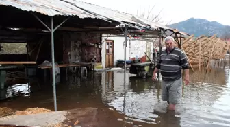 Köyceğiz Gölünde Sular Çekilmiyor