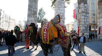 Deve Güreşi Festivalinde İlk Gün Coşkusu