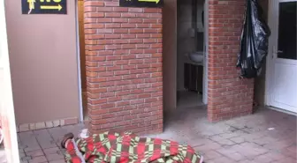 Mescitte Ölü Bulundu