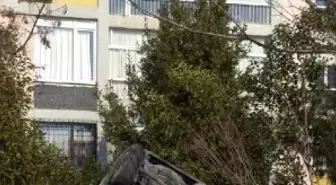 Otomobil Şaha Kalktı