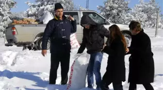 Aç Kalan Hayvanlar İçin Doğaya Yiyecek Bırakıldı