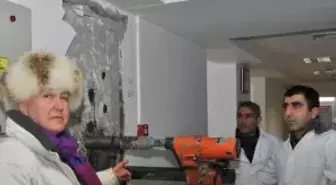 Deprem Uzmanı Ahmet Ercan: Van'da Büyük Deprem Beklemiyoruz