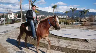 Gündüz Güneş, Gece Don