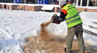 Akşehir'de Kuşlar ve Sahipsiz Hayvanlar İçin Yem Bırakılıyor