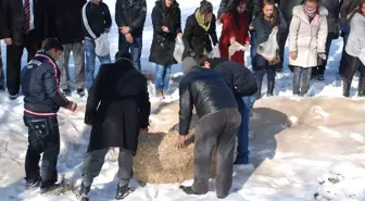 Gediz'de Yaban Hayvanları İçin Ormanlık Alanlara Yem Bırakıldı