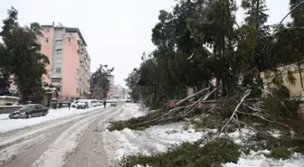 Hatay'da 'Kar' Hali