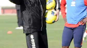 Samsunspor Petkoviç'i Gönderdi