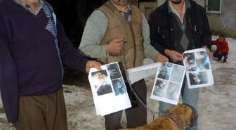 Ava Giderken, Peşlerine Takılan Sahipli Köpekleri Öldürdü