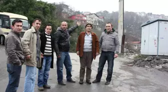 Tepebaşı Halkının Sokak Lambası Tepkisi