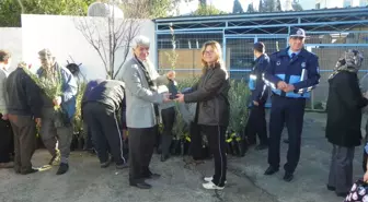 Gümüşlük Belediyesi Belde Sakinlerine Zeytin Fidanı Dağıttı