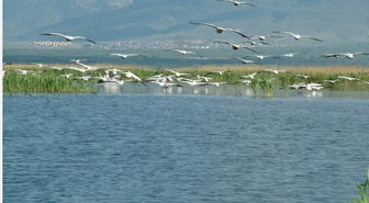 Sulak Alanlar Resim Sergisi