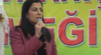 BDP'li Ata: 'Hükümet Çözümsüzlükte Israr Ederse Bu Yıl Çok Ağır Geçebilir'