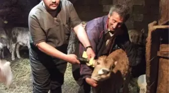 Hınıs'ta Nöbetçi Veteriner Hekim Uygulaması