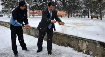 Karaman Belediyesi Kuşları Unutmadı