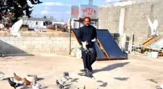 Kuşçular Güneşli Havanın Tadını Çıkardı