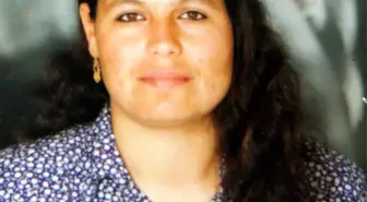 Organları, Üç Kişiyi Hayat Bağladı