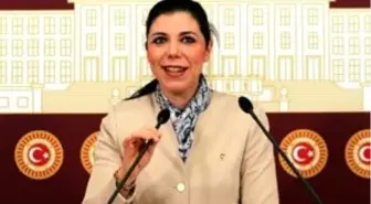 Akp'li Bakır: 'Fransa'ya Karşı Diplomatik Zafer Kazanmış Oluyoruz'