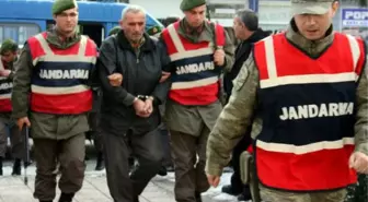 Canlı Bebeği Ormanda Ölüme Terkeden Çift Tutuklandı