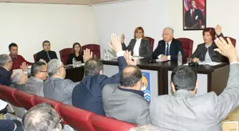 Mezitli Belediyesi'nden Müzek Festivaline 90 Bin Lira Destek